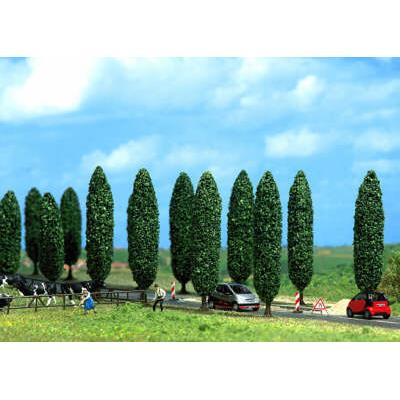 Ho Poplars