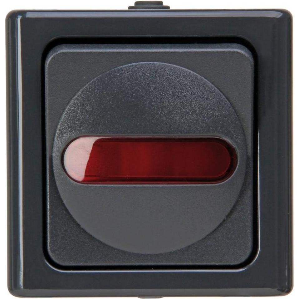 Wippschalter Anth Glz BlueElectric IP44 M.Glimm AP 1f 10AX (561615008)