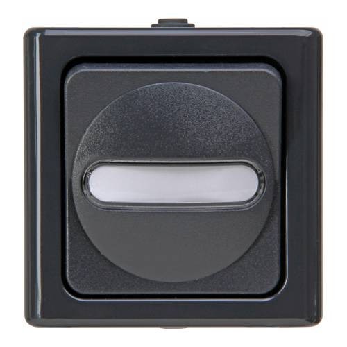 Wipptaster Anth 1S AP BlueElectric IP44 Rückmeld Mit Beleuchtung Glz (560815003)