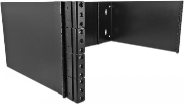 DeLOCK - Schrank - Netzwerkschrank - Geeignet Für Wandmontage - Schwarz - 4U - 48.3 Cm (19)