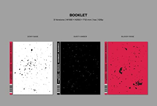Le Sserafim LE SSERAFIM UNFORGIVEN 1st Studio Album Photobook Ver (vol.2) (CD) thumbnail