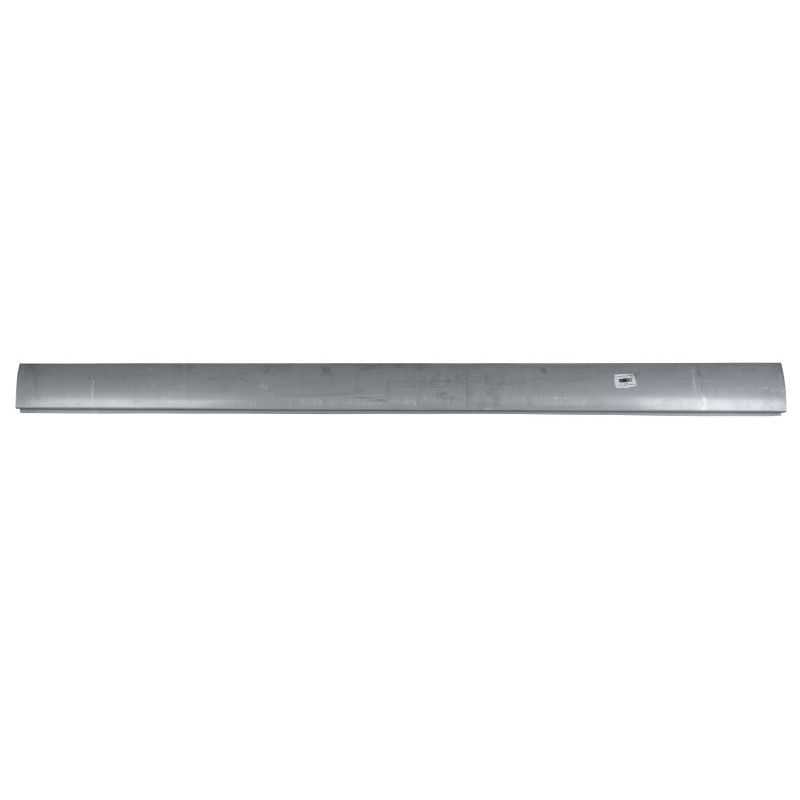 Einstiegblech BLIC 6505-06-9533015P Links