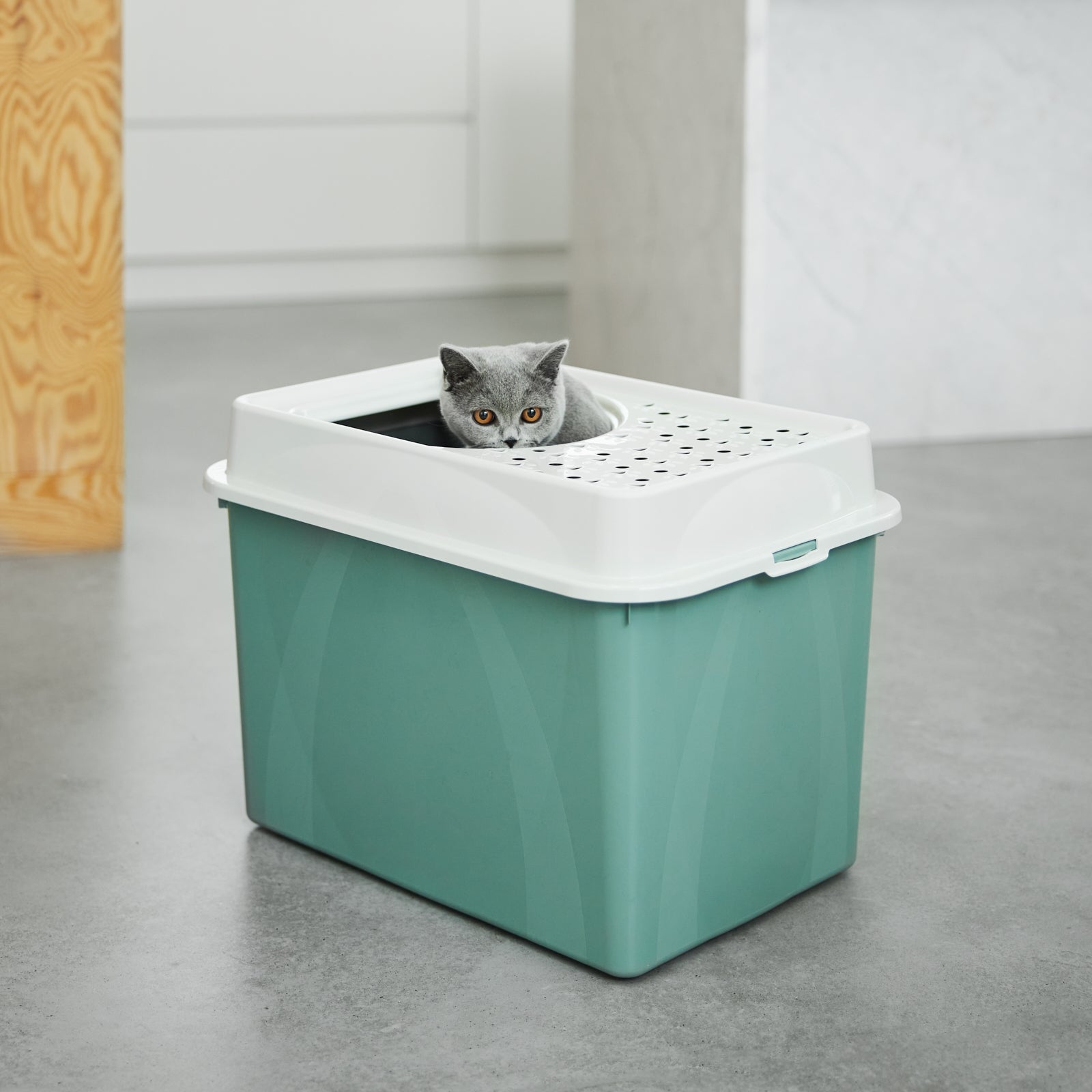 Rotho  Katzentoilette Oben Offen Eco BERTY thumbnail