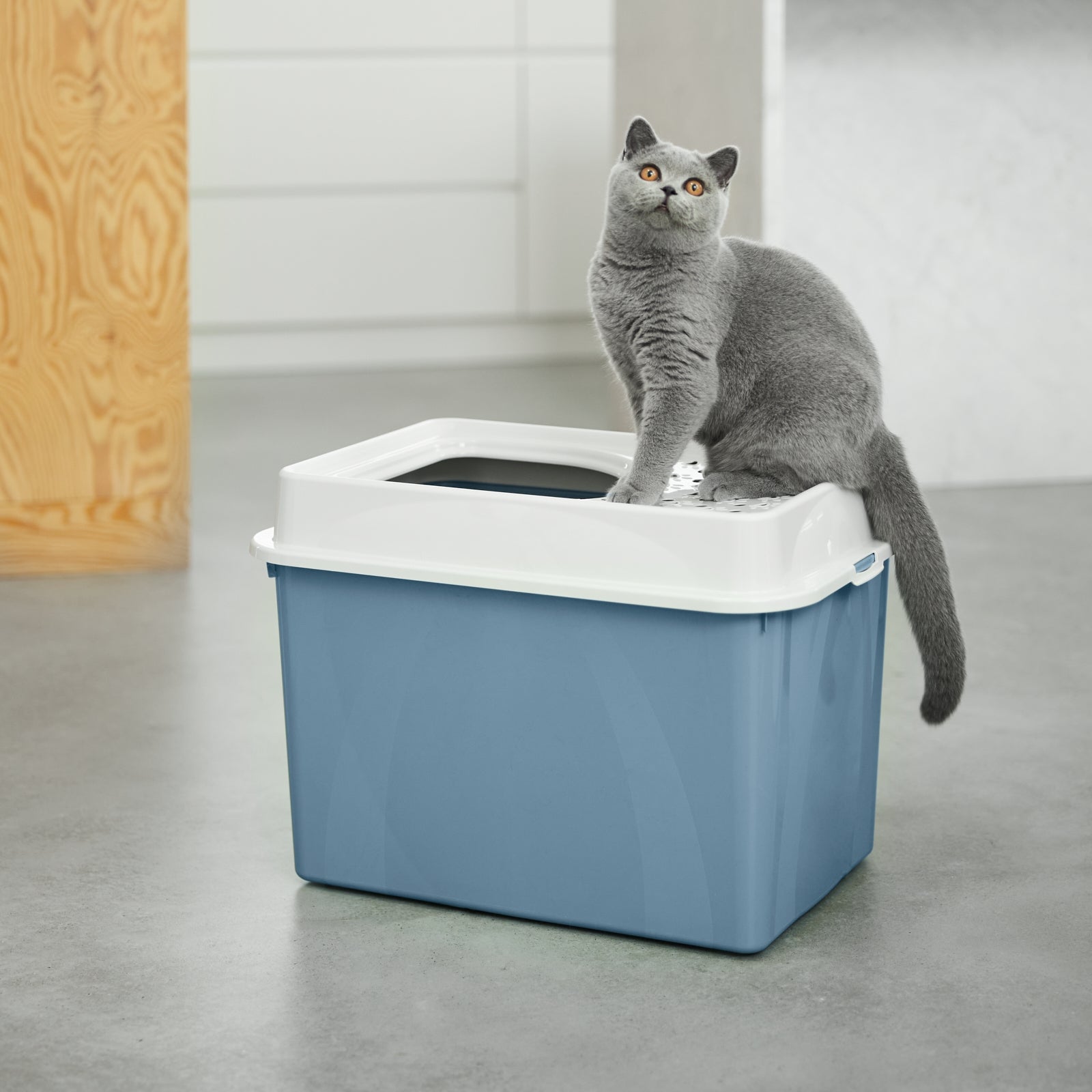 Rotho  Katzentoilette Oben Offen Eco BERTY thumbnail