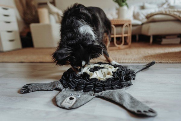 HUNTER Billund Schnüffelteppich Bär Grau Hundespielzeug