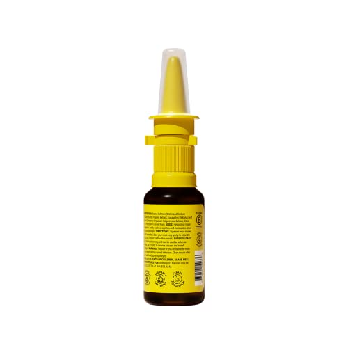 Beekeeper's Naturals Propolis Nasal Spray Plus W/Eucalyptus, Oregano, Xylitol & Saline, Clears Nasal Congestion, Moisturizes Sinus Canal, 1 Fl Oz thumbnail