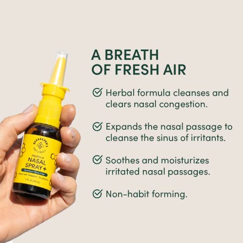 Beekeeper's Naturals Propolis Nasal Spray Plus W/Eucalyptus, Oregano, Xylitol & Saline, Clears Nasal Congestion, Moisturizes Sinus Canal, 1 Fl Oz thumbnail