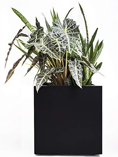 Black Square Planter Large Outdoor, Indoor | Seeley Cube Box Pot 20