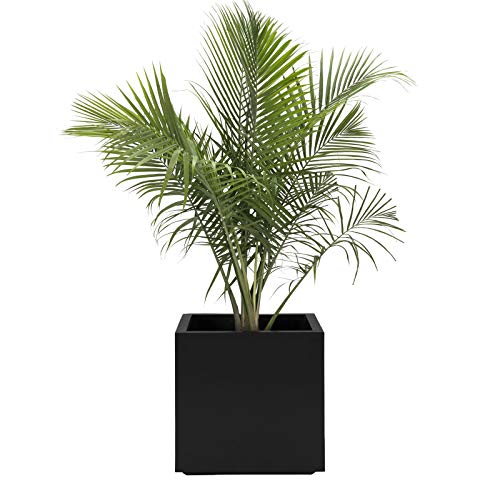 Black Square Planter Large Outdoor, Indoor | Seeley Cube Box Pot 20