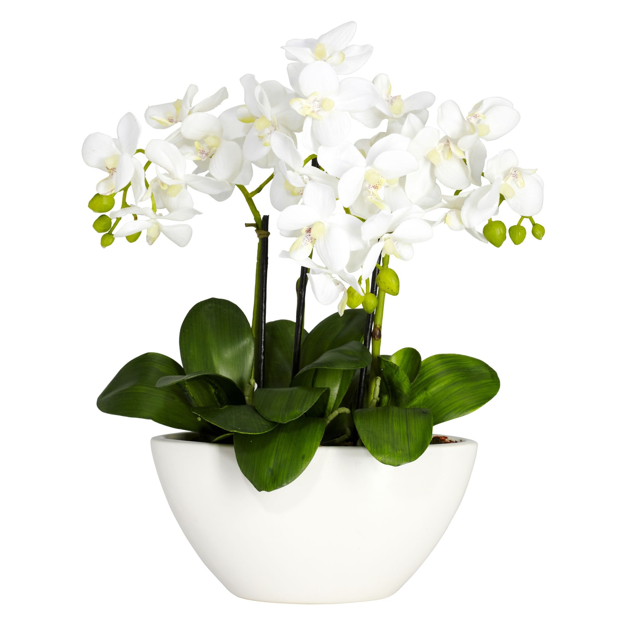 Phalaenopsis Silk Flower Arrangement - 16