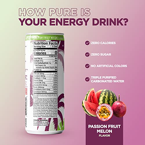 Fit Tea Healthy Energy Drink 12 Fl Oz - Passionfruit Melon Sparkling Refresher (12 Pack) Natural Green Tea Energy Drinks Sugar Free thumbnail