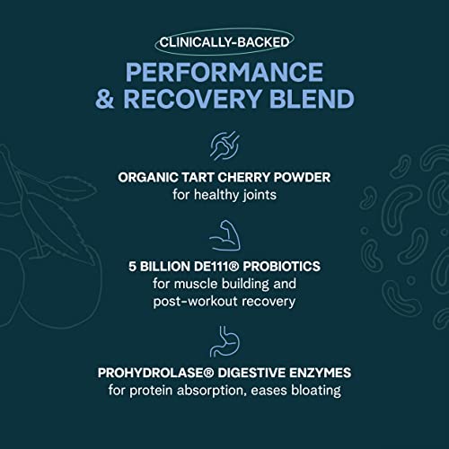 Ora Organic Ultra Clean Plant-Based Protein Powder for High Performance - with Tart Cherry, ProHydrolase and Probiotics for Optimized Absorption and R thumbnail