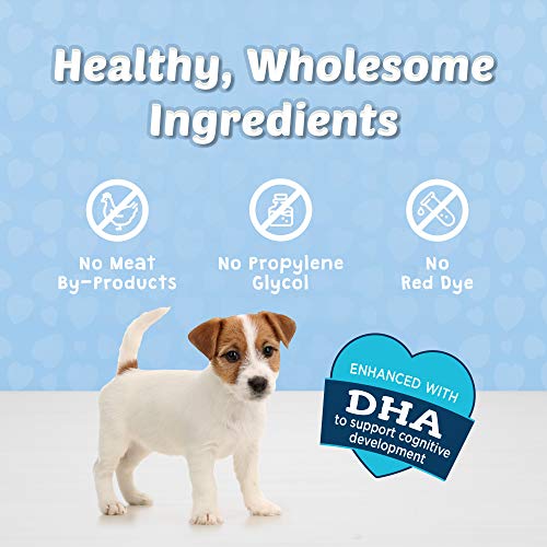 Blue Buffalo BLUE Bits Natural Soft-Moist Training Dog Treats, Turkey Recipe 4-oz Bag thumbnail