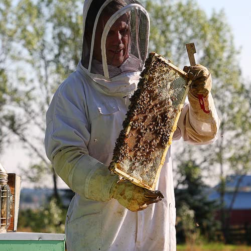 Bee Shepherd Colorado Wildflower Honey - 100% Raw  Unfiltered  Natural Sweetness  Rich in Antioxidants  Pollen  Propolis & Royal Jelly  Perfect for Te thumbnail