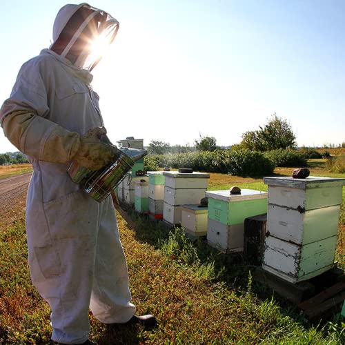 Bee Shepherd Colorado Wildflower Honey - 100% Raw  Unfiltered  Natural Sweetness  Rich in Antioxidants  Pollen  Propolis & Royal Jelly  Perfect for Te thumbnail