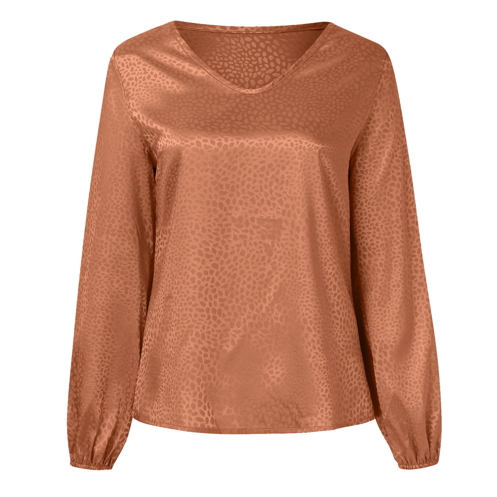 GWAABD Long Sleeve Tops Early Spring V Neck Pullover Leopard Print Shirt Women Silk Jacquard Long Sleeve Shirt
