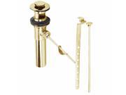2 Sink Drain Lever Pop-up with Overflow Lifetime PVD | Renovator's Supply