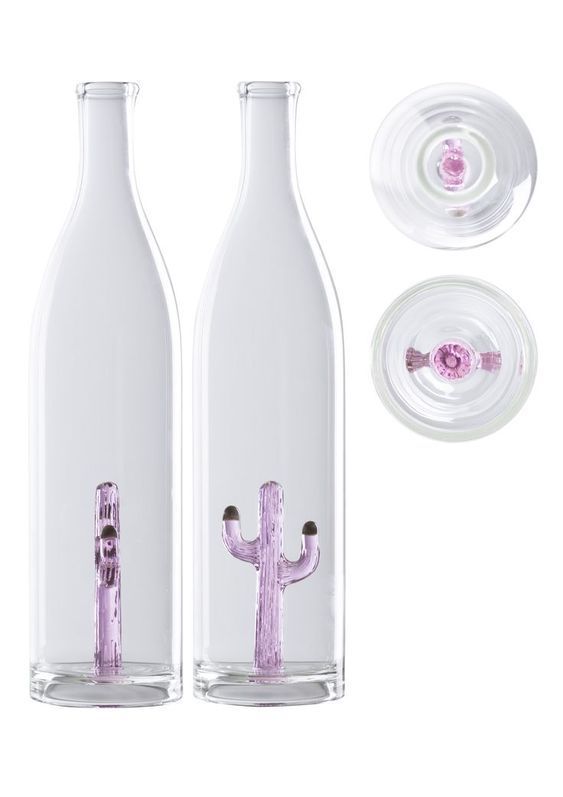 Cactus Bottle (transparent Pink Cactus)
