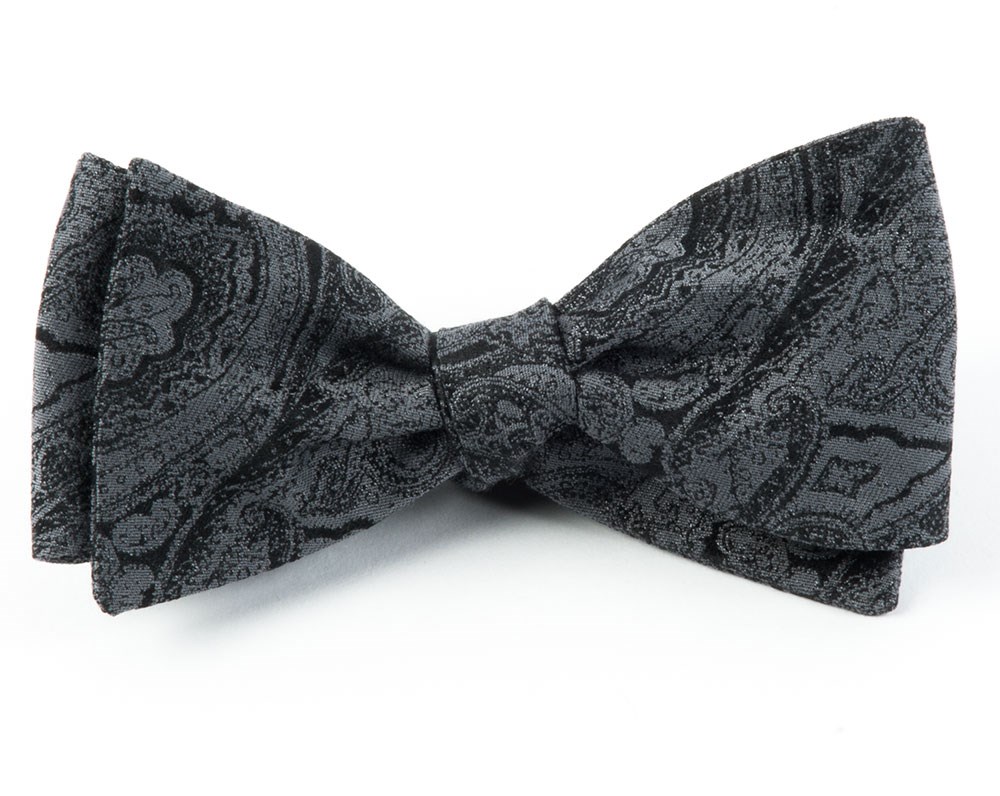 Alkaline Paisley - Silver
