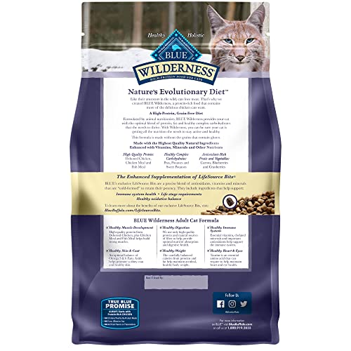 Blue Buffalo Wilderness High Protein, Natural Adult Dry Cat Food, Chicken 6-lb thumbnail