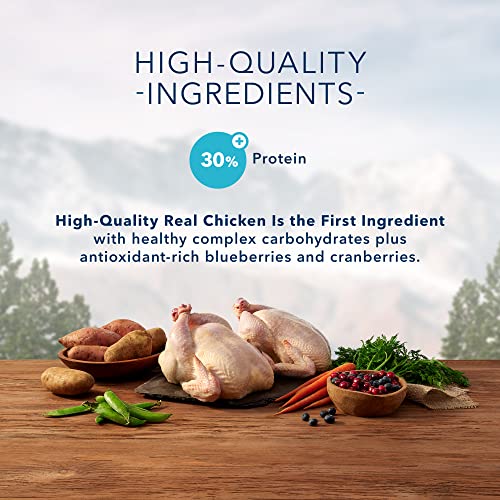 Blue Buffalo Wilderness High Protein, Natural Adult Dry Cat Food, Chicken 6-lb thumbnail