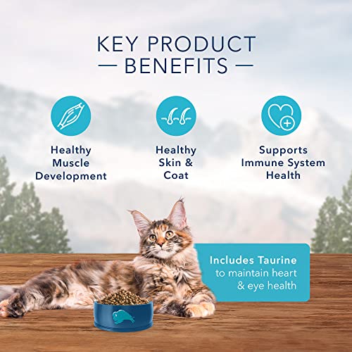 Blue Buffalo Wilderness High Protein, Natural Adult Dry Cat Food, Chicken 6-lb thumbnail