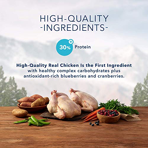 Blue Buffalo Wilderness High Protein  Natural Adult Indoor Dry Cat Food  Chicken 2-lb thumbnail