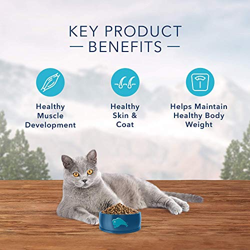 Blue Buffalo Wilderness High Protein  Natural Adult Indoor Dry Cat Food  Chicken 2-lb thumbnail