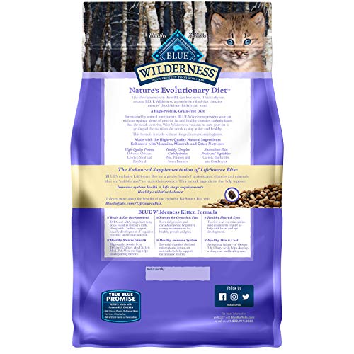 Blue Buffalo Wilderness High Protein  Natural Kitten Dry Cat Food  Chicken 2-lb thumbnail