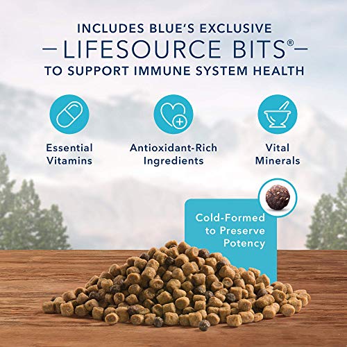 Blue Buffalo Wilderness High Protein  Natural Kitten Dry Cat Food  Chicken 2-lb thumbnail