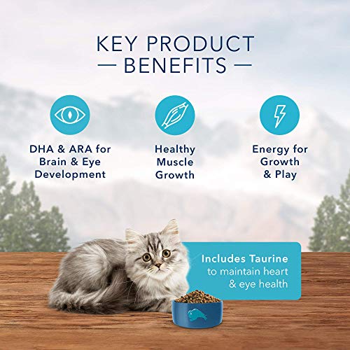 Blue Buffalo Wilderness High Protein  Natural Kitten Dry Cat Food  Chicken 2-lb thumbnail