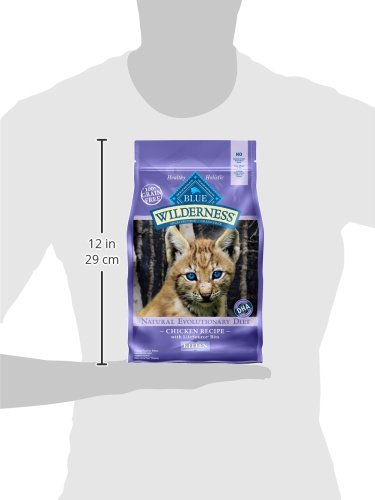 Blue Buffalo Wilderness High Protein  Natural Kitten Dry Cat Food  Chicken 2-lb thumbnail