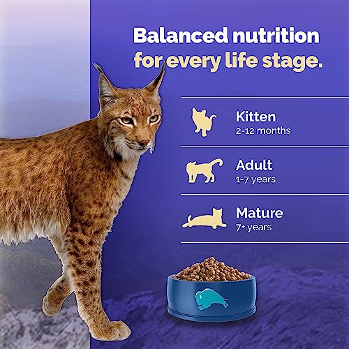 Blue Buffalo Wilderness High Protein  Natural Mature Dry Cat Food  Chicken 5-lb thumbnail