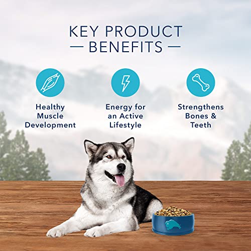 Blue Buffalo Wilderness High Protein  Natural Adult Dry Dog Food  Salmon 11-lb thumbnail