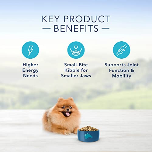 Blue Buffalo Life Protection Formula Toy Breed Dog Food Natural Dry Dog Food for Adult Dogs Chicken and Brown Rice 4 Lb. Bag thumbnail