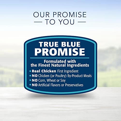 Blue Buffalo Life Protection Formula Toy Breed Dog Food Natural Dry Dog Food for Adult Dogs Chicken and Brown Rice 4 Lb. Bag thumbnail
