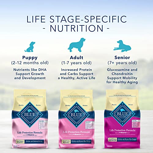 Blue Buffalo Life Protection Formula Toy Breed Dog Food Natural Dry Dog Food for Adult Dogs Chicken and Brown Rice 4 Lb. Bag thumbnail