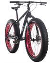 Framed Minnesota 1.0 Fat Bike