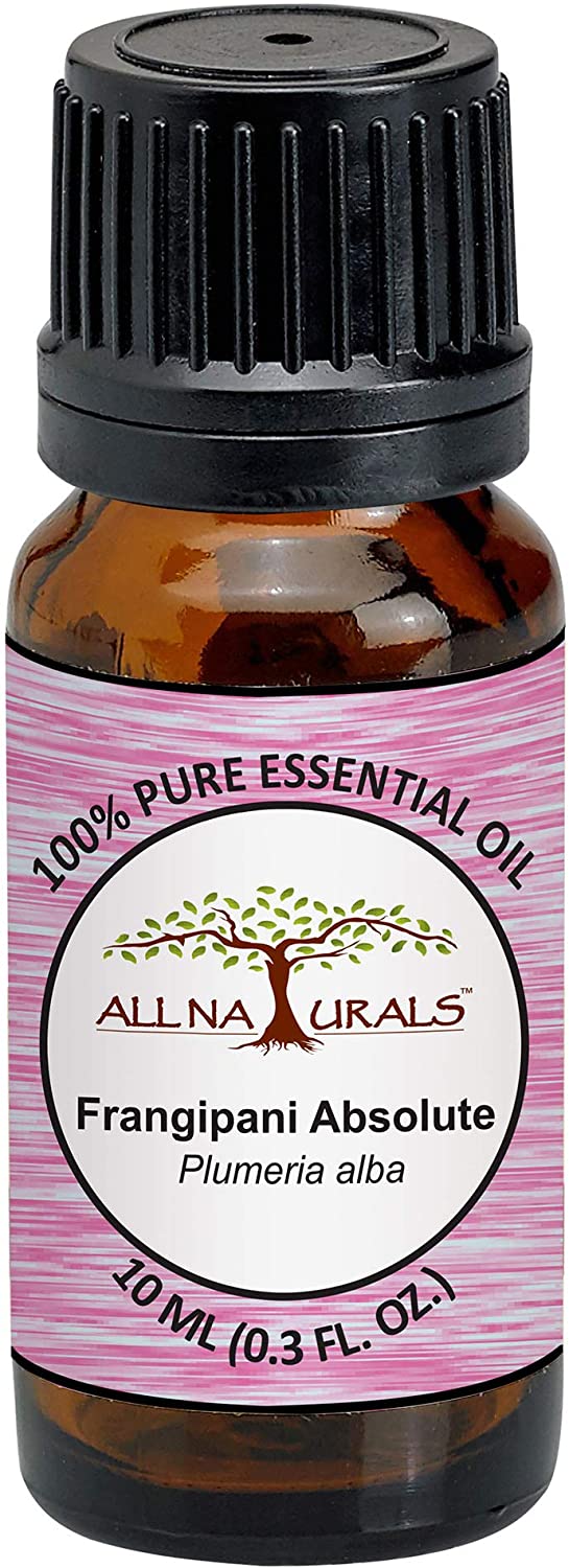 All Naturals Frangipani Absolute Essential Oil (India) Rare Exotic Sweet Unisex Aroma 100% Pure for Aromatherapy  Natural Perfumes  Massage  Diffusers