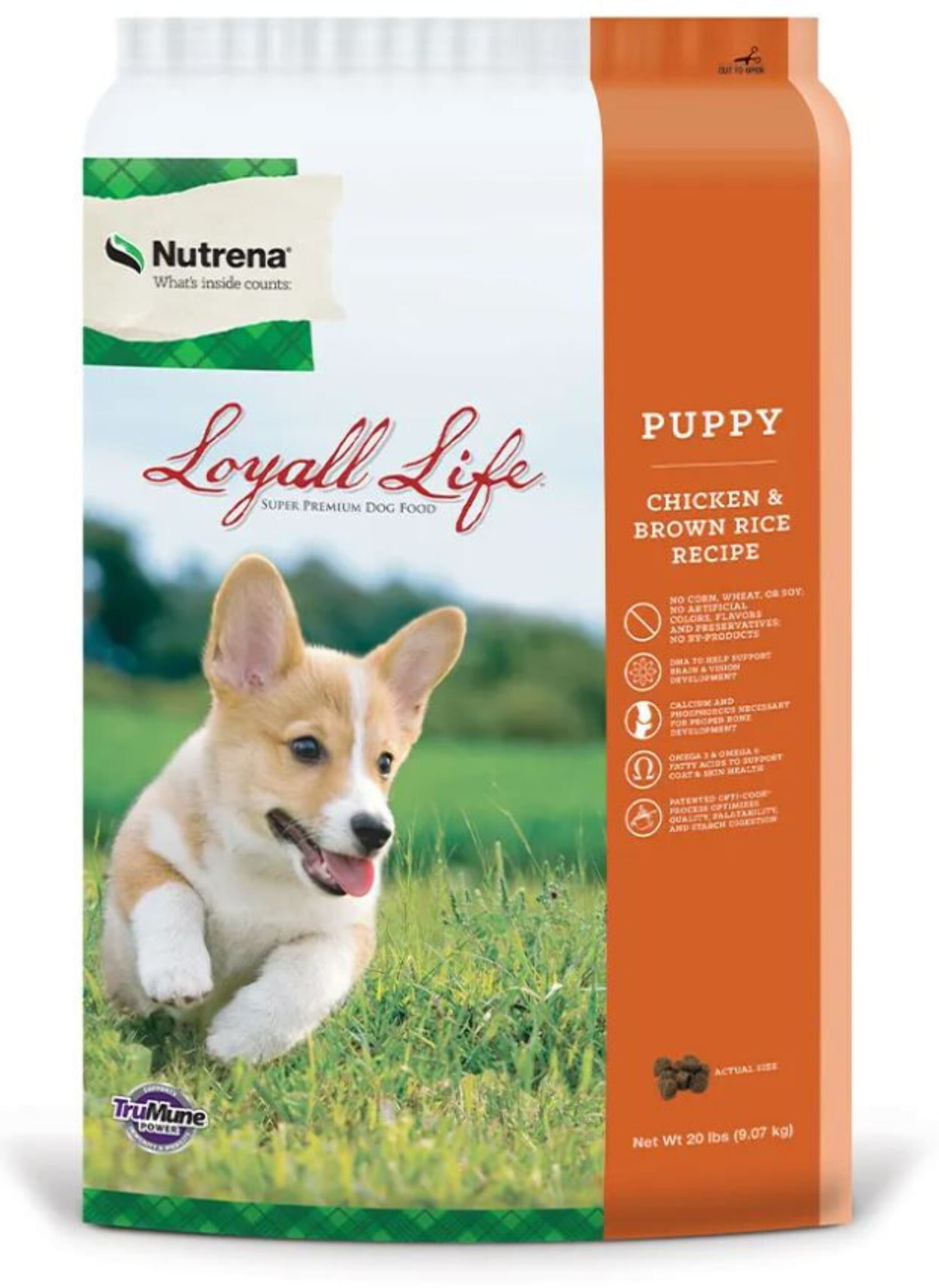 Loyall Life 6 Lb Puppy Chicken & Brown Rice Puppy Food