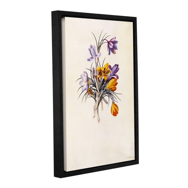 Georg Dionysius Ehret's ' Crocuses, 1744' Gallery Wrapped Floater-framed Canvas