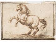 Horse Poster Print by Attributed to Francesco Allegrini (Italian  Cantiano 1615/20 �after 1679 Gubbio ) (18 X 24)