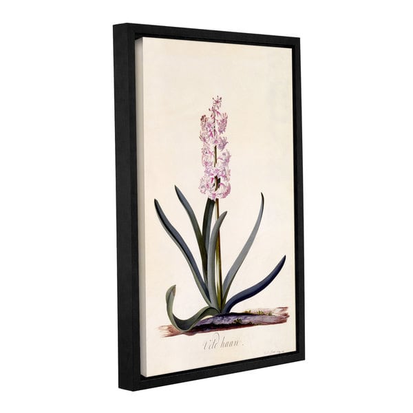 Georg Dionysius Ehret's ' Hyacinth 'van Haan', 1744' Gallery Wrapped Floater-framed Canvas