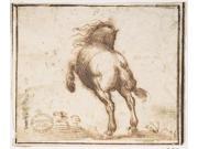 Horse Poster Print by Attributed to Francesco Allegrini (Italian  Cantiano 1615/20 �after 1679 Gubbio ) (18 X 24)