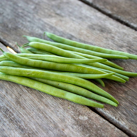 Bean Seeds (Bush) - Elegance - 1 Ounce - Vegetable Seeds  Open Pollinated Seed Easy to Grow & Maintain  Container Garden