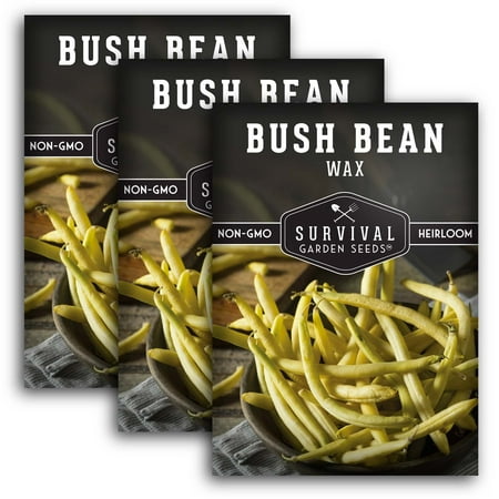 3 Packs Golden Wax Bush Bean Seeds - Non-GMO Heirloom Vegetable - Full Sun Annual