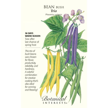 Trio Bush Bean Seeds - 60 Grams - Snap Bean