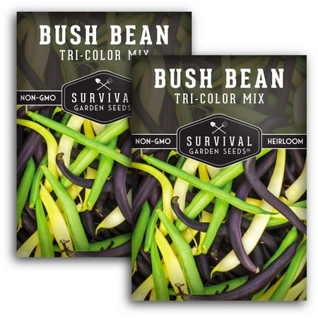2 Packs Tri-Color Mix Bush Bean Seeds - Non-GMO Heirloom Full Sun Annual Vegetable