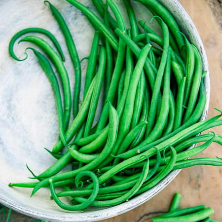 Gurney S Bush Bean Grenada (2 Oz. Seed Packet) 75874