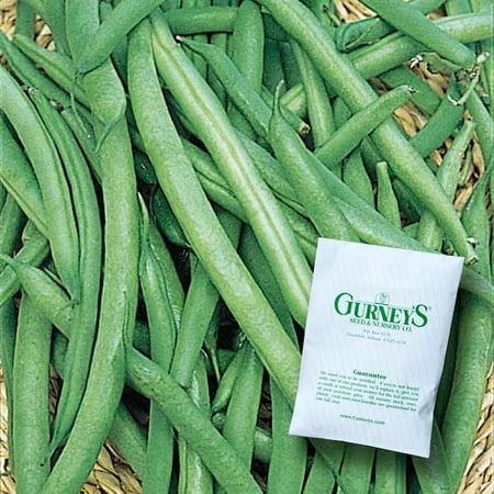 Gurney S 0.5 Lb. Bush Bean Early Contender (Seed Packet) 14156